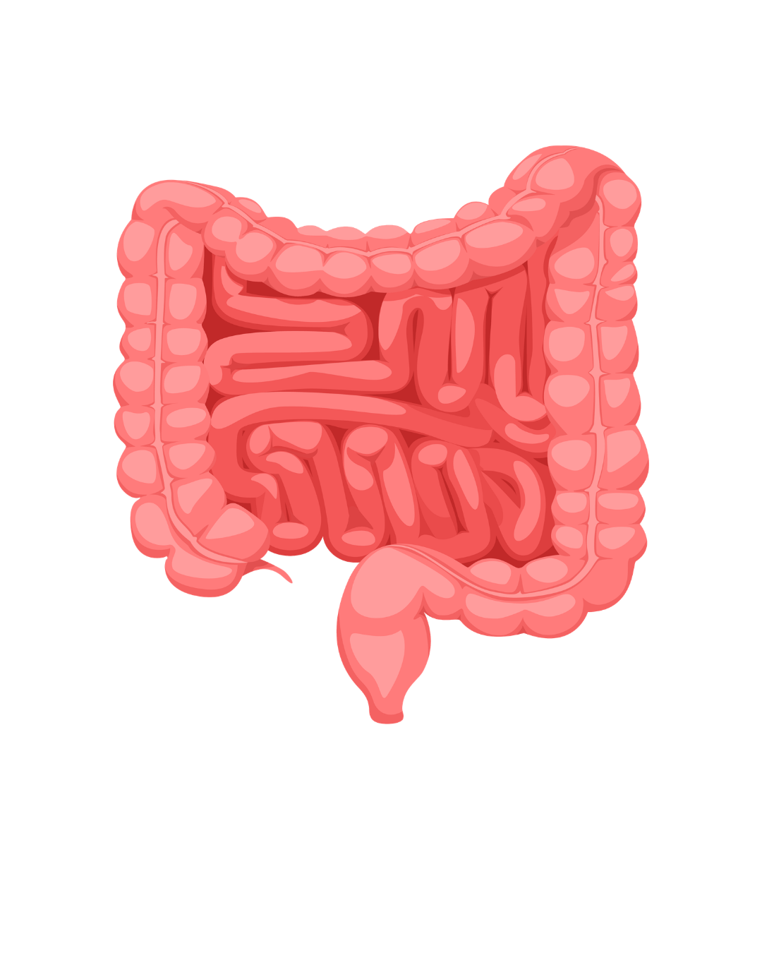 Cirurgia Geral